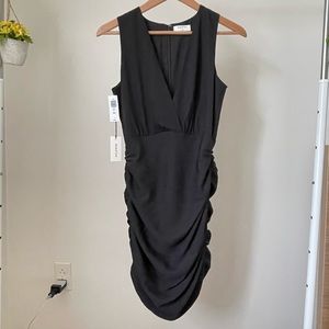 Aritzia Babaton Viva Dress